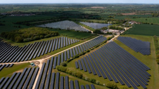 Solar investment outshines oil: IEA