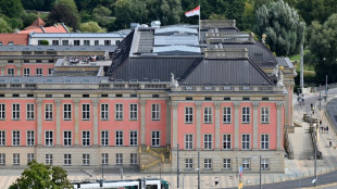 Umfrage sieht AfD vor Landtagswahl in Brandenburg weiter knapp vor SPD