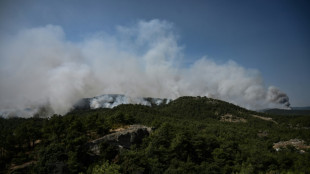 Sigue fuera de control el incendio del parque nacional de Dadiá, en Grecia