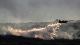 Ardèche: l'incendie probablement criminel maîtrisé, plusieurs gardes à vue