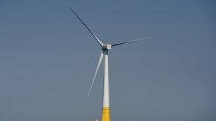 Eolien: abandon d'un projet flottant pilote au large de Belle-Ile