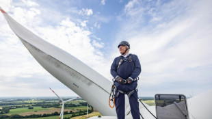 EU-Staaten setzen Ziel für Ausbau erneuerbarer Energien deutlich hoch