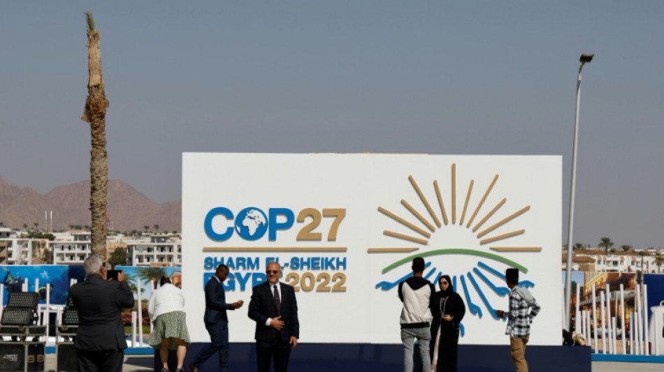 Alemania critica la situación de los DDHH en Egipto, sede de la COP27