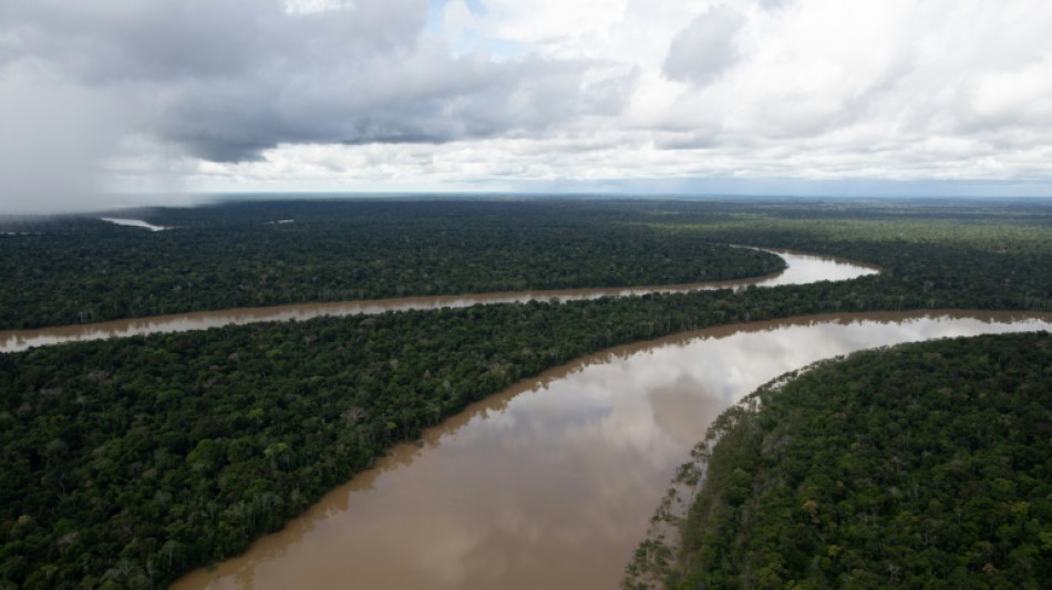 Human remains found in search for Amazon missing: Bolsonaro