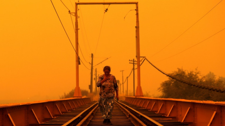 Chile forest fire toll rises, hundreds left homeless