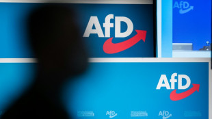 AfD-Parteitag bestätigt Chrupalla knapp als Vorsitzenden