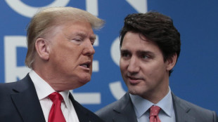 Trump, 'grande idea il Canada 51esimo Stato Usa'