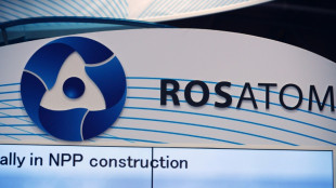 Ukraine: le russe Rosatom perd son contrat pour une centrale nucléaire en Finlande