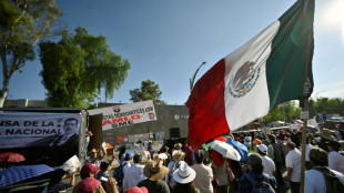 Mexican power reforms opposed by US face crunch vote