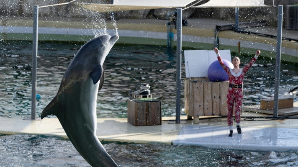 Cierra un parque marino de Francia por una ley que prohíbe los espectáculos con orcas