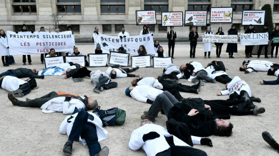 Científicos organizan en París cortejo fúnebre para los insectos