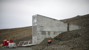 La diversidad de las semillas, un tesoro para adaptarse al cambio climático