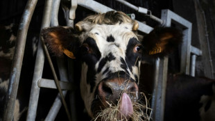 Agriculture: l'Assemblée achève l'examen d'un texte à l'impact environnemental critiqué