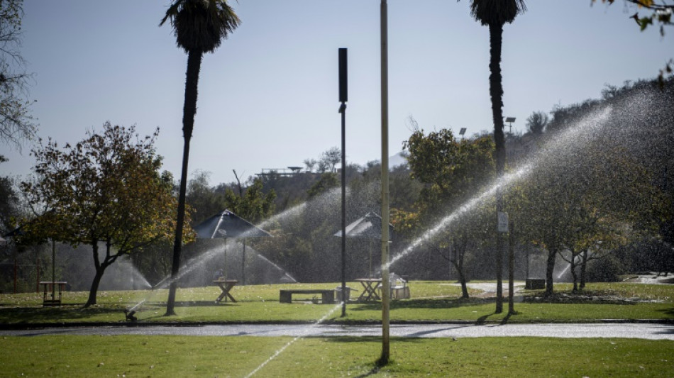 Under shadow of drought, Santiago ditches exotic plants