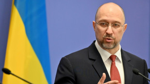 Ukrainian forces will 'fight to the end' in Mariupol: PM