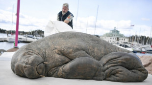 Escultura en bronce de famosa morsa Freya, inaugurada en Noruega