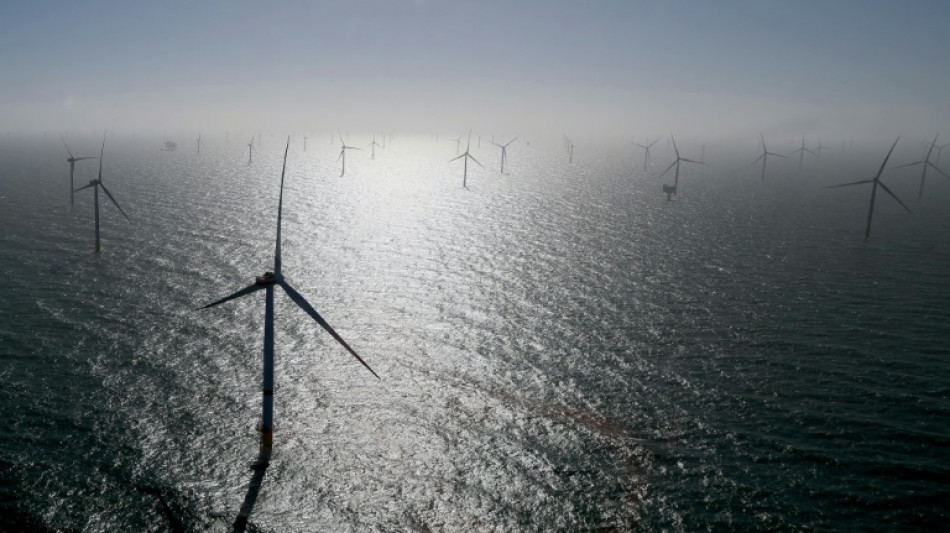 European leaders vow to boost North Sea wind energy production