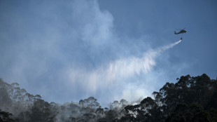 Incendios forestales azotan Bogotá y otras regiones de Colombia