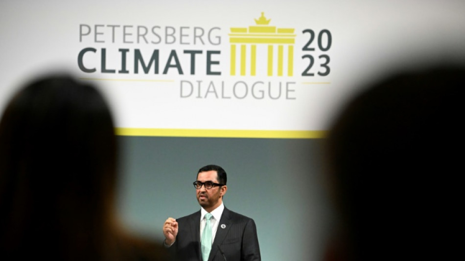 COP28 chair urges tripling of renewables capacity by 2030