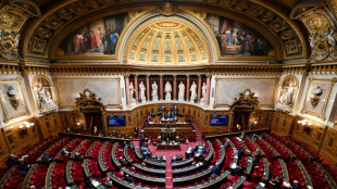 Energies renouvelables: ultime vote au Sénat pour l'adoption définitive