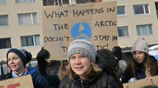 Des manifestants, dont Greta Thunberg, réclament la "justice climatique" à Davos