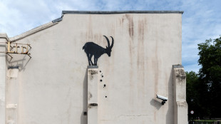 Una capra sul muro di Londra, il nuovo graffio di Banksy