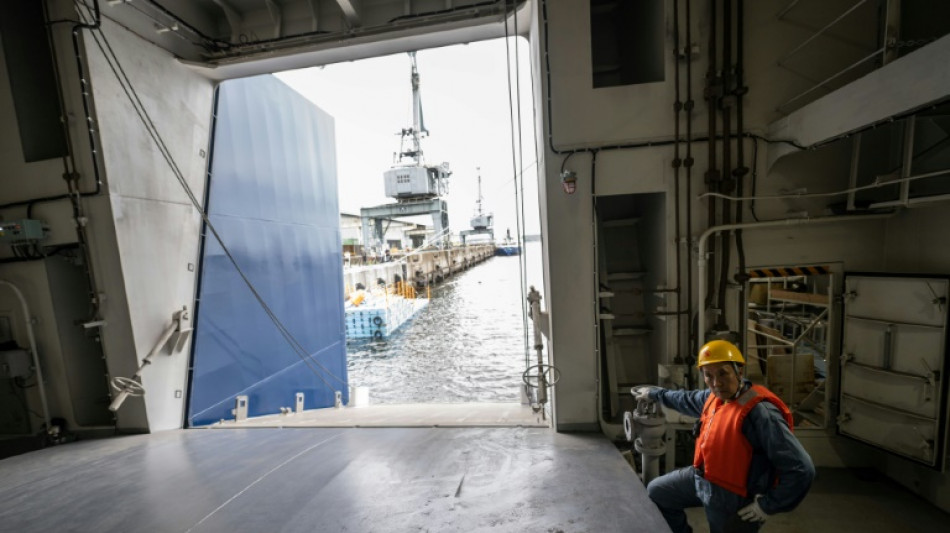 Le Japon tue un rorqual commun à des fins commerciales, première en un demi-siècle 