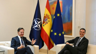 Portugal y España se comprometen a aumentar su gasto militar en el marco de la OTAN