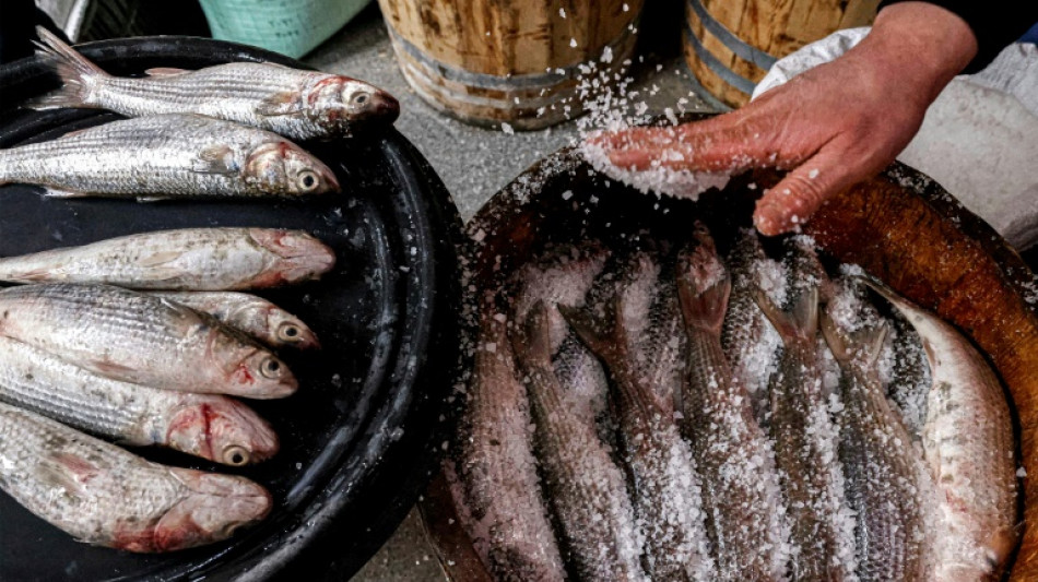 Poblado egipcio en el Nilo recibe la primavera con pescado de olor intenso