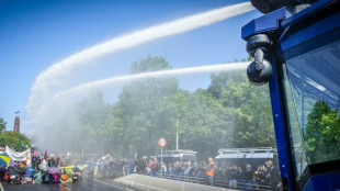 Manifestation pour le climat aux Pays-Bas: plus de 1.500 interpellés