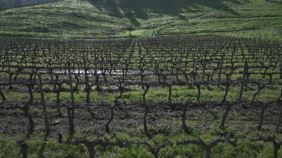 La economía de Chile no registra variación en septiembre