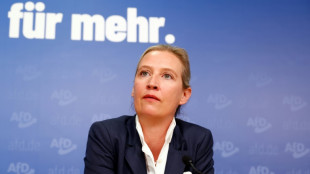 Weidel nennt OVG-Urteil "so nicht akzeptabel" und kündigt rechtliche Schritte an