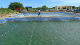 Au Sénégal, l'aquaculture cherche son cap