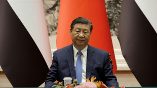 Chinas Präsident Xi fordert Nahost-Friedenskonferenz