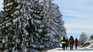 Menos frío intenso y menos nieve durante el invierno en el hemisferio norte, advierte un estudio