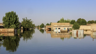 Inondations au Tchad: 341 morts, près de 1,5 million de sinistrés depuis juillet