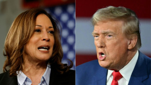 Harris and Trump to clash in pivotal presidential debate