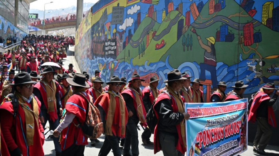 Una nutrida marcha respalda al gobierno de Bolivia tras el ultimátum de Evo Morales 