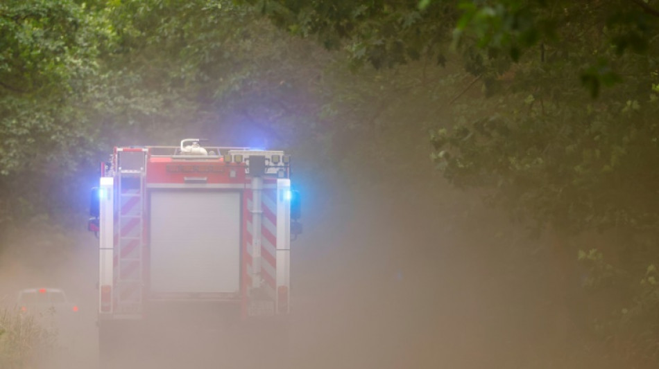 Feuerwehr kämpft weiter gegen Waldbrände in Sachsen und Brandenburg