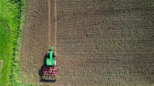 Union fordert von Regierung Entlastungen für die Landwirtschaft 