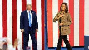 Harris et Trump font un détour de campagne au Texas