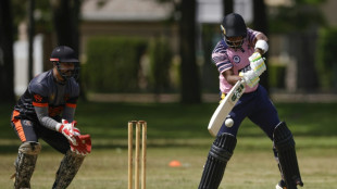 A New York, un stade de cricket, une Coupe du monde et des espoirs