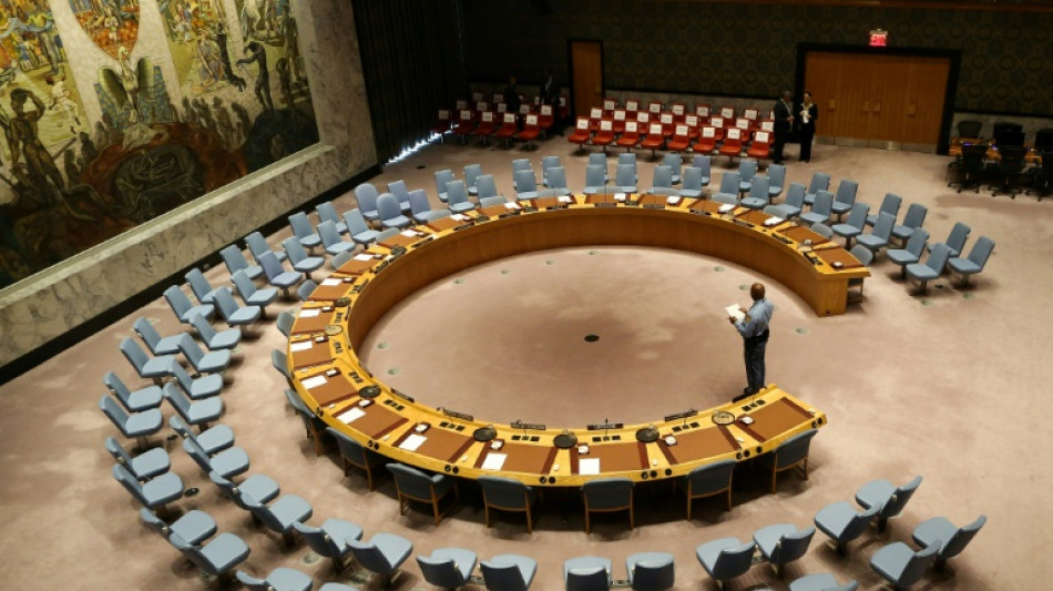 Ukraine: le Conseil de sécurité de l'ONU en panne de décision sur l'aide humanitaire
