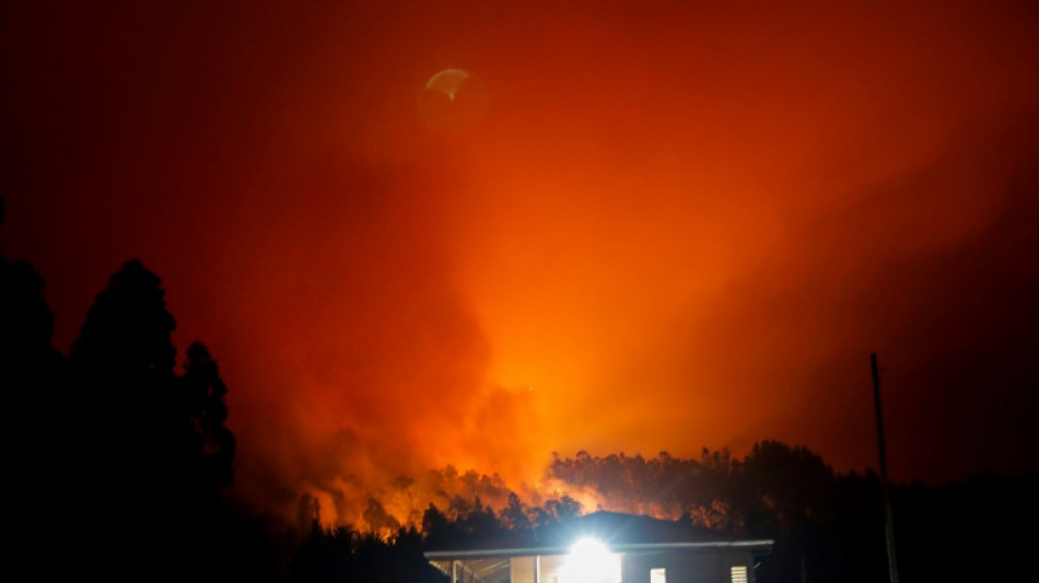 Death toll in Chile forest fires rises to 23: official