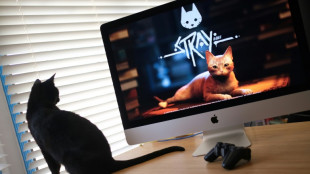 "Stray", jeu vidéo français préféré des chats, sacré meilleur titre indépendant aux Game Awards