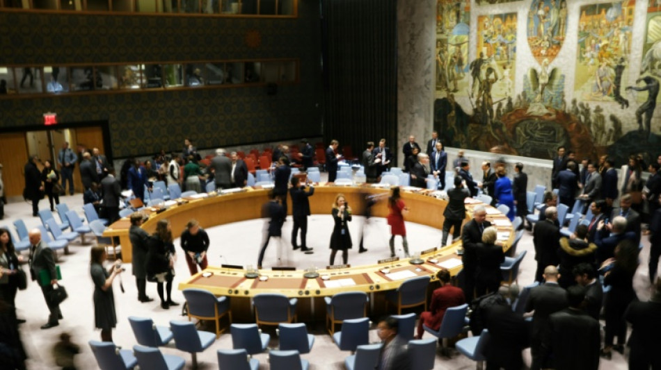 Le Conseil de sécurité de l'ONU dans l'expectative sur l'aide humanitaire transfrontalière à la Syrie