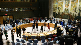 Le Conseil de sécurité de l'ONU prolonge ses négociations sur l'aide humanitaire transfrontalière à la Syrie