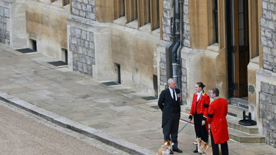 Los célebres perros de la reina Isabel II, protagonistas de una exposición en Londres