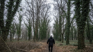 The many chilling myths of Prague's 'lunatic graveyard'