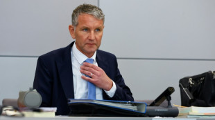 Vorwurf des Verwendens von NS-Parole: Weiterer Prozess gegen AfD-Politiker Höcke